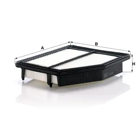 C24021 Hava Filtresi