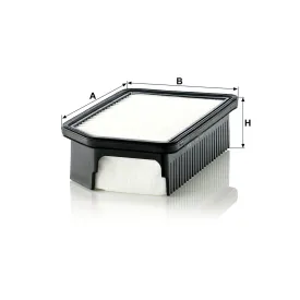C 26014 Hava Filtresi